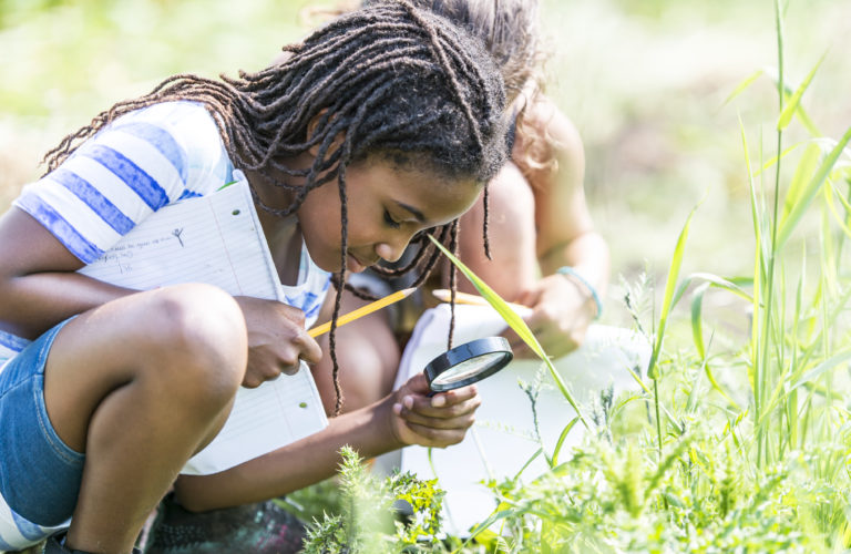 Learning in Nature